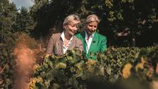 «Il faut avoir une même vision dans la fratrie» : Stéphanie et Alexandra de Nonancourt, la force du duo à la tête du champagne Laurent-Perrier