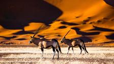 Séjour Namibie | 15 jours | La Namibie avec mes ados