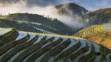 Chine