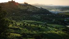Ćnotourisme : lâAndalousie sur la route du xĂ©rĂšs