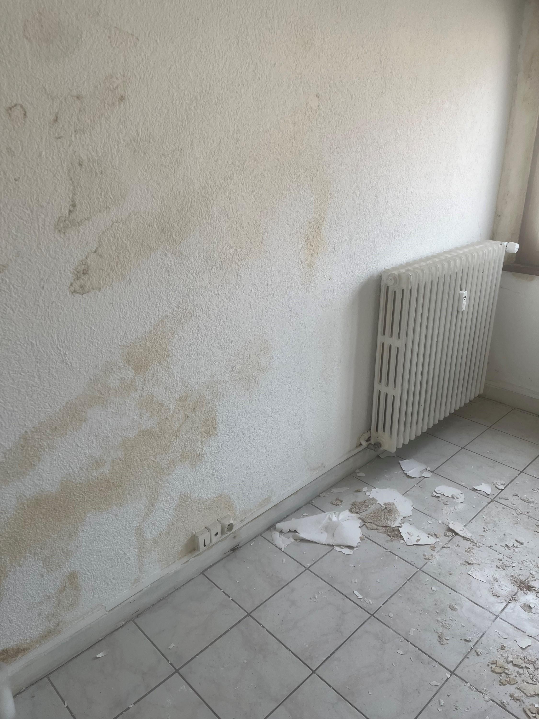 La propriétaire, dont le logement aurait été dégradé à cause d’une infiltration d’eau provoquée par des squatteurs, estime le coût des travaux à «au moins 100.000 euros».