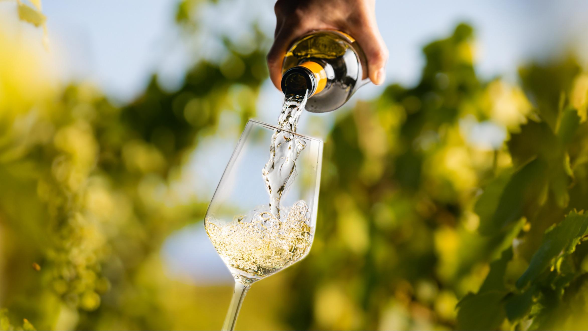 Une cuvée bourguignonne élue «meilleur vin blanc du monde» par un concours londonien