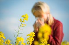 Les allergies au pollen sont plus sévères cette année