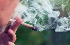 Cannabis : le HHC interdit dès mardi en France, annonce l'Agence du médicament