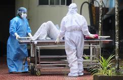 En Inde, le virus Nipah resurgit et fait deux morts dans le Kerala