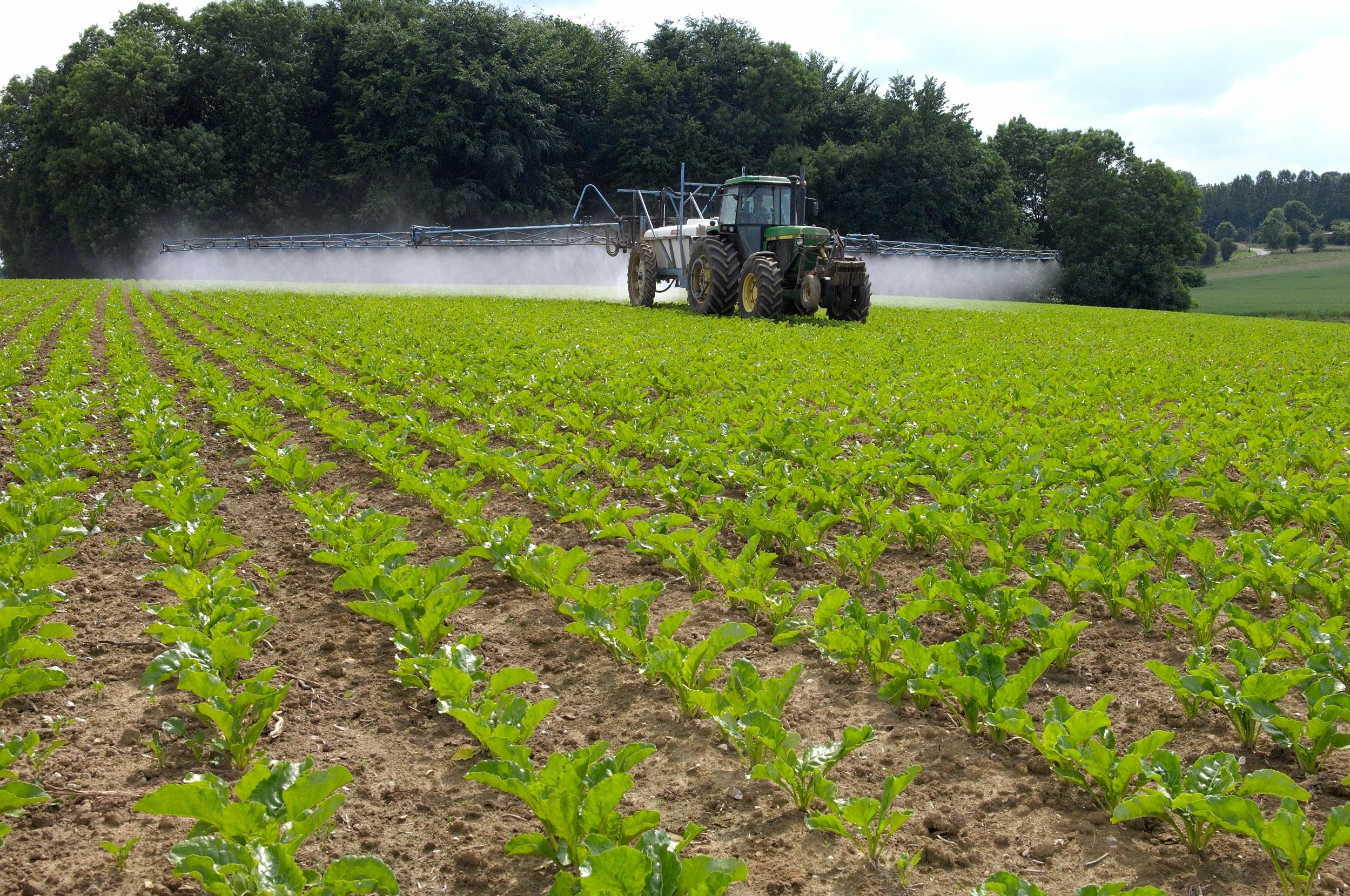 «Un déséquilibre supplémentaire pourrait tout faire s’écrouler» : le Sénat relance le brûlant débat sur les insecticides néonicotinoïdes