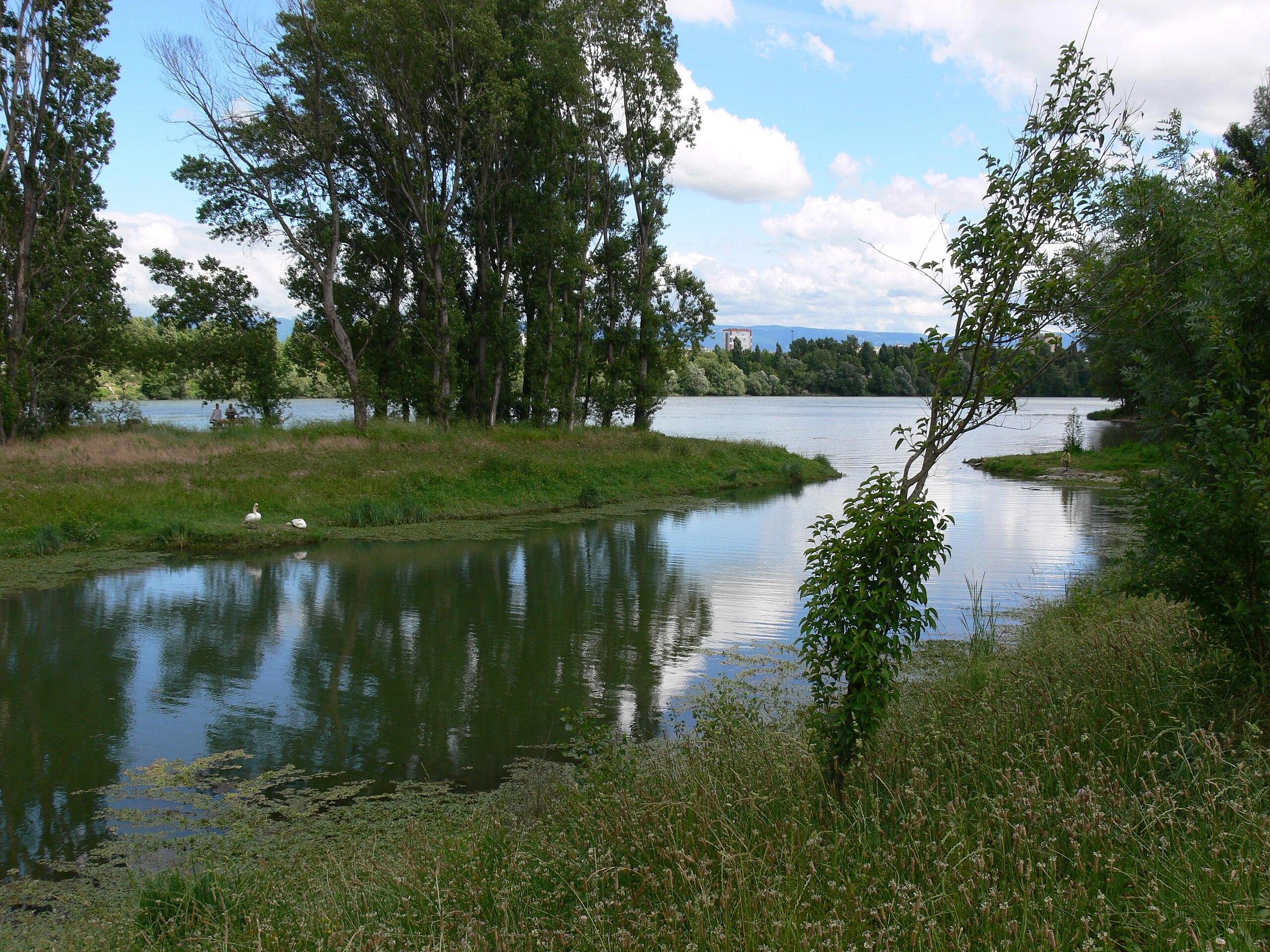 «La plus importante restauration écologique sur un fleuve» : un vaste chantier va rendre le Rhône plus naturel