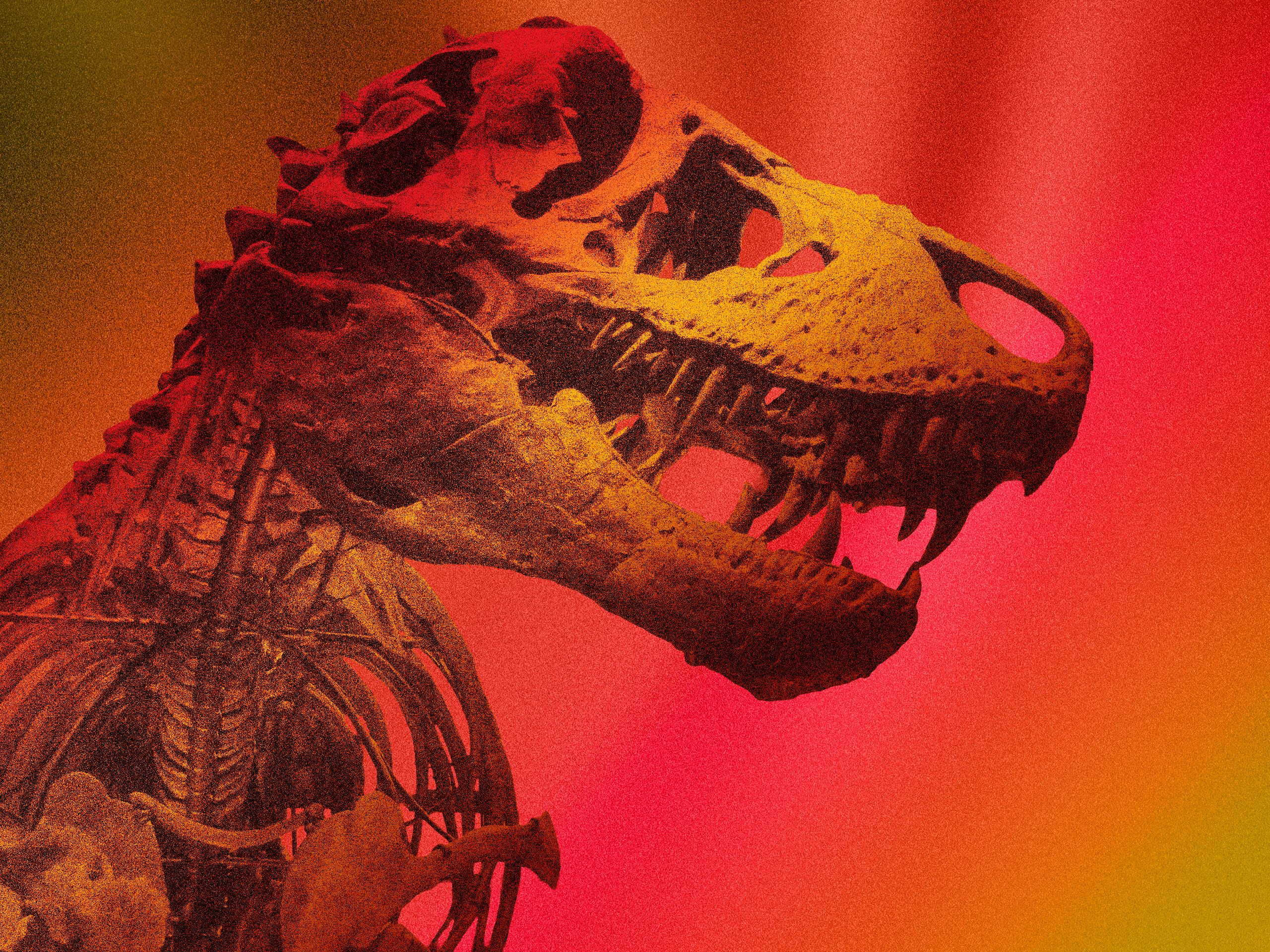 Sang chaud ou froid ? Des chercheurs ont déterminé la température corporelle du Tyrannosaure rex… grâce à ses dents