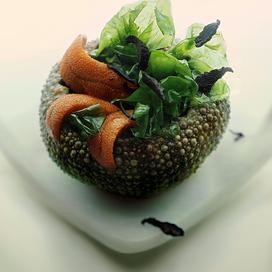 Oursins à la crème d‘épinards