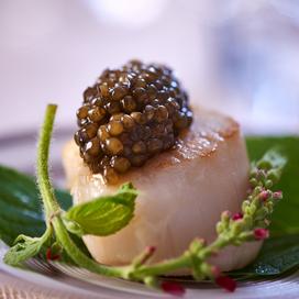 Saint-Jacques au caviar