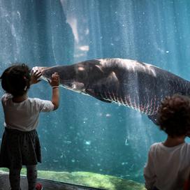 Exposition Harry Potter, initiation au modelage au Musée Rodin… que faire avec les enfants pendant les vacances de printemps à Paris ?