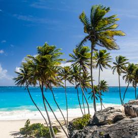 La Barbade : l'éden tropical et glam du moment