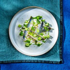 Pickles de sardines, yaourt grec, concombre et menthe