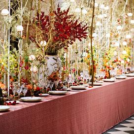 Le château de Chenonceau accueille un féerique banquet aux oiseaux en l’honneur de Catherine de Médicis