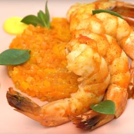 Crevettes roses de Saint-Gilles, coulis de courgettes jaunes