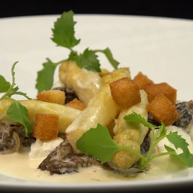 Crème d’asperges blanches et morilles