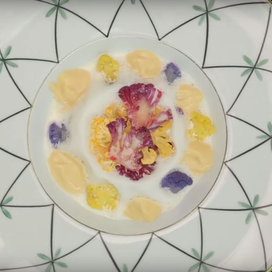 Huîtres, crème de chou-fleur, émulsion de haddock