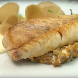 Filet de perche meunière et risotto petit épeautre, purée de chou-rave