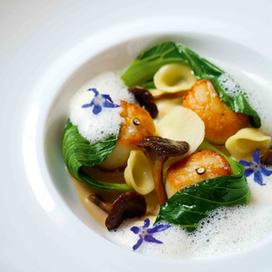 Noix de Saint-Jacques "pok-choi" et chanterelles