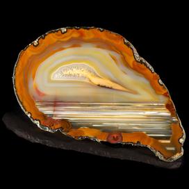 Le trésor minéral de Roger Caillois : une exposition qui bouleverse notre regard sur les pierres