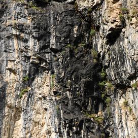 Le shilajit de l’Himalaya : cet ingrédient ancestral qui interroge les experts en micronutrition