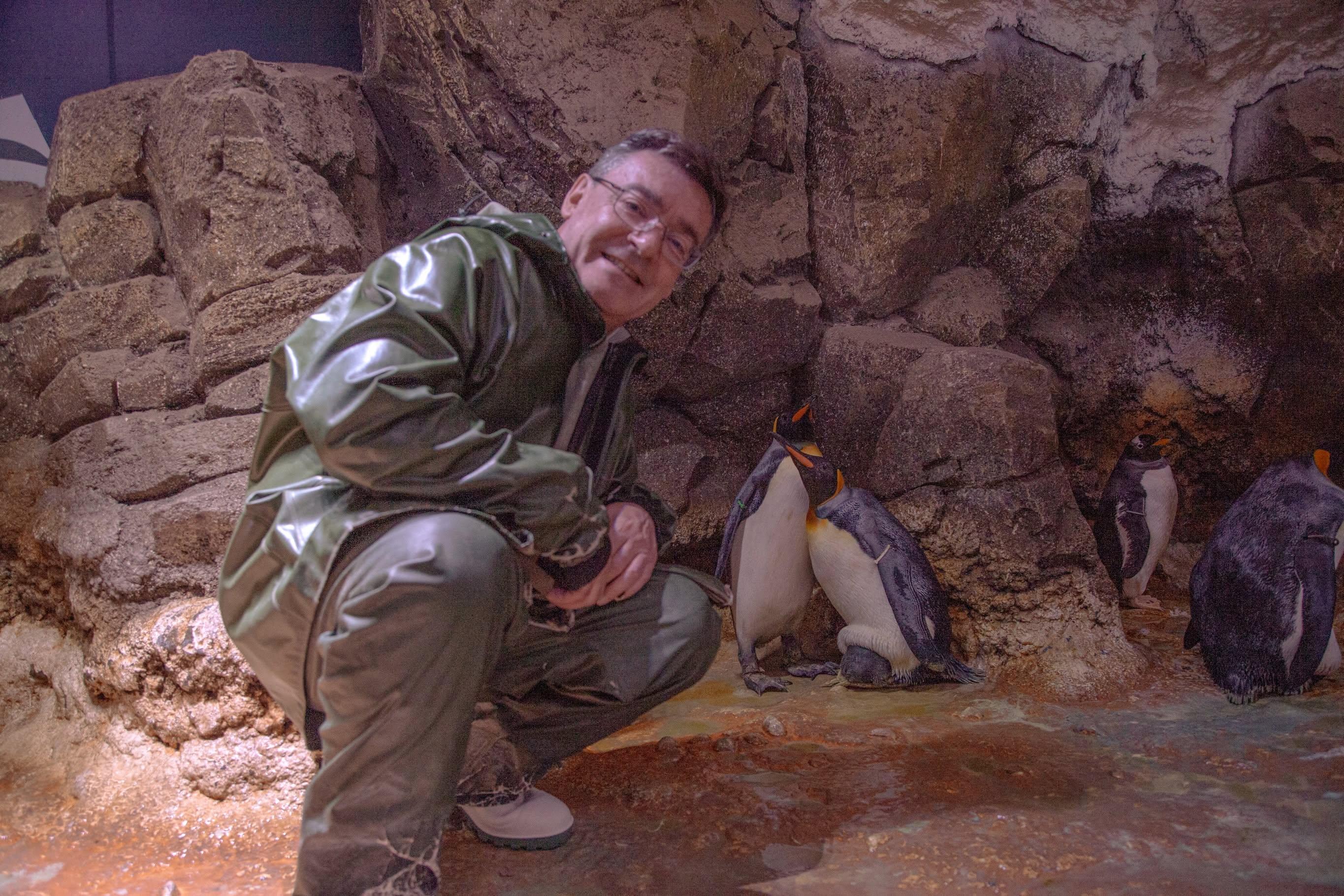 Un manchot royal nommé en hommage à Bruno Salomone au Sea Life Paris