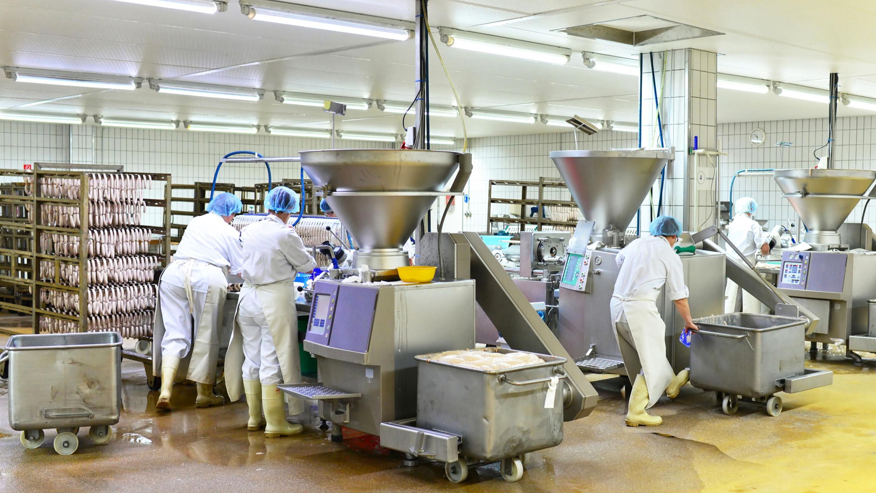 L’abattoir de Meaux, fermé pour maltraitance animale, va pouvoir rouvrir sous conditions strictes