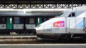 Deux ans après la mort du chat Neko, la SNCF accorde désormais 20 ...