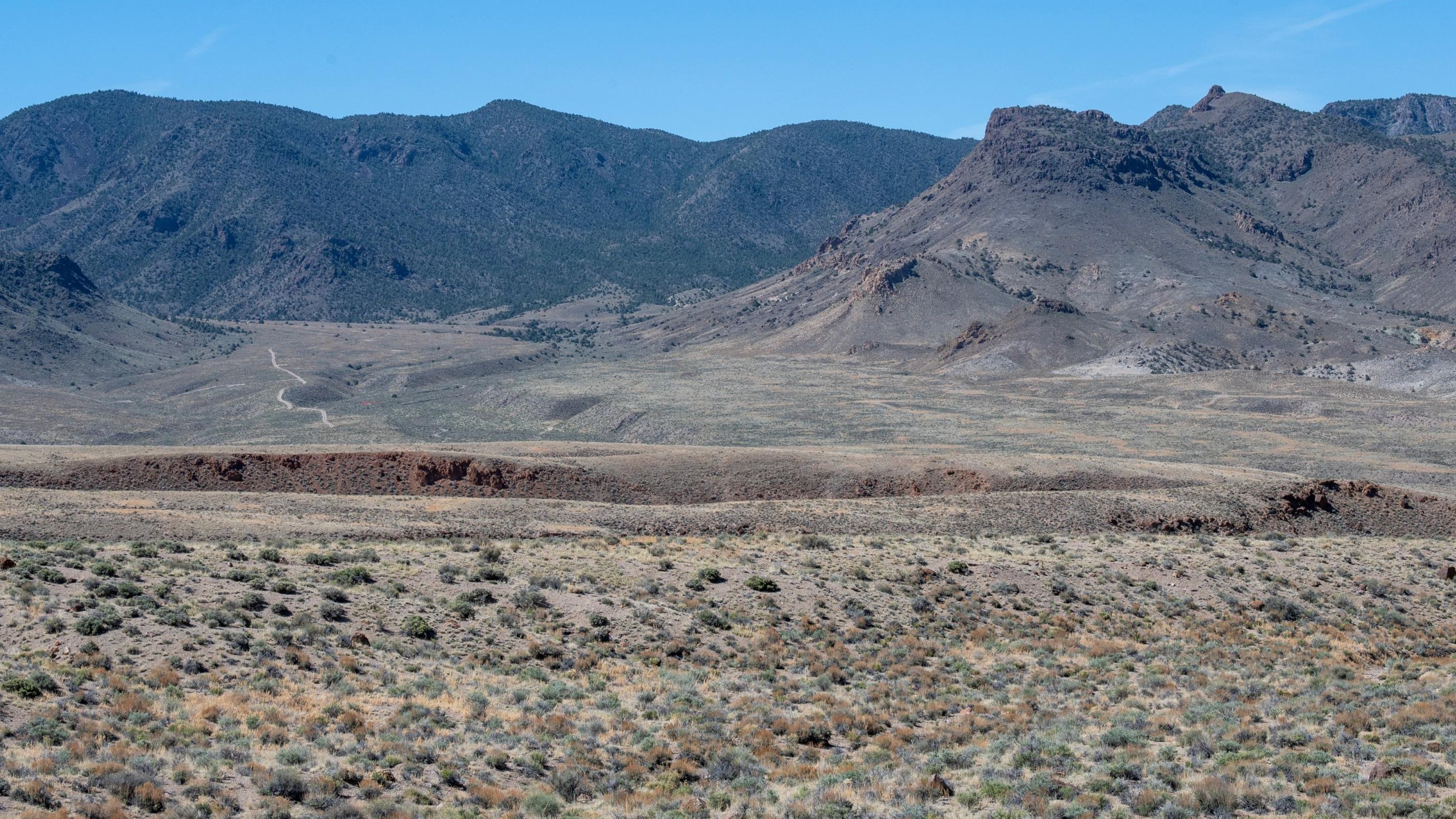 États-Unis : feu vert pour une mine de lithium sur les terres d'une fleur en danger