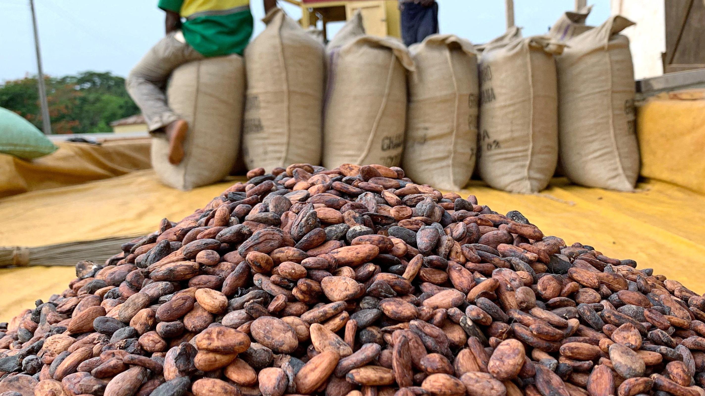 Matières premières : le cacao a atteint de nouveaux sommets, à plus de 12.900 dollars la tonne