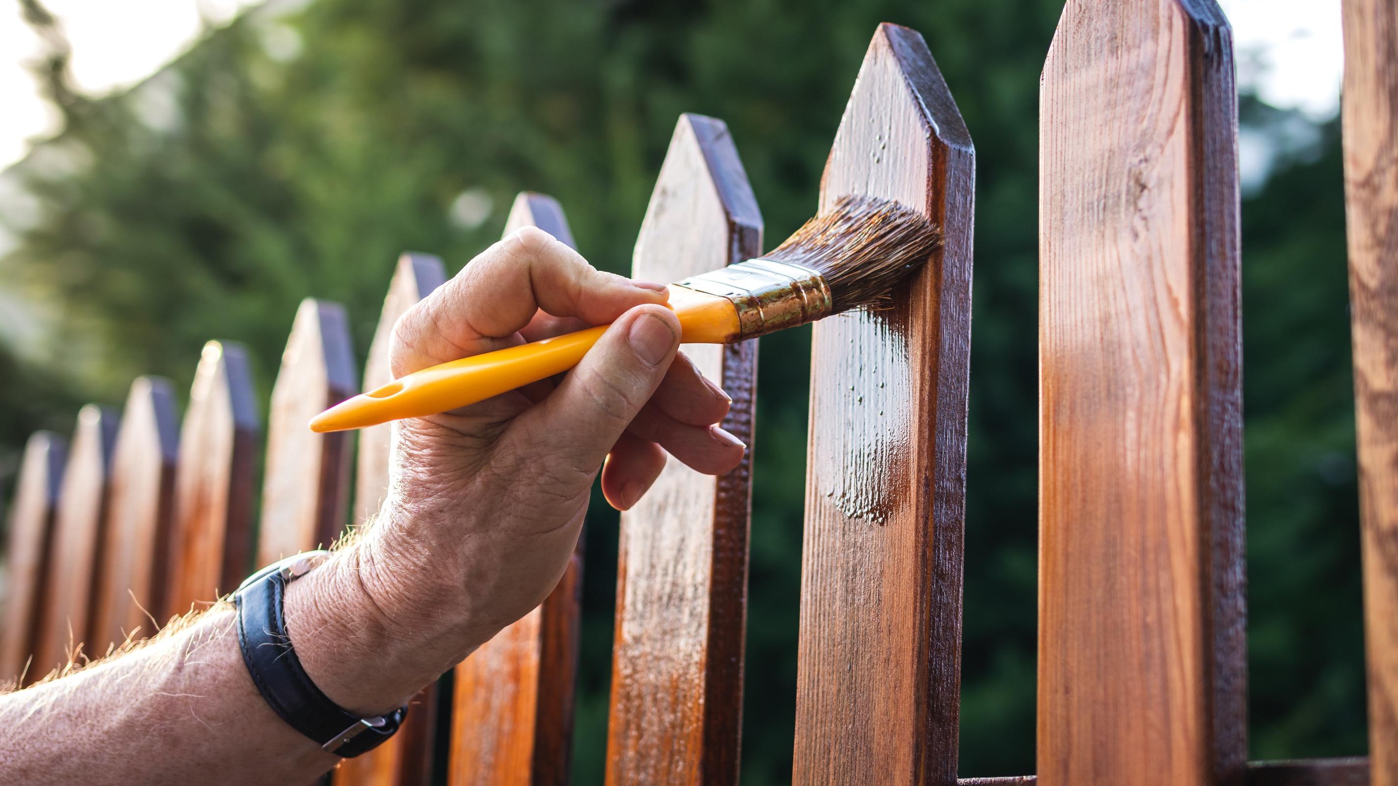 Une belle clôture toute l'année : les astuces de ceux qui y parviennent