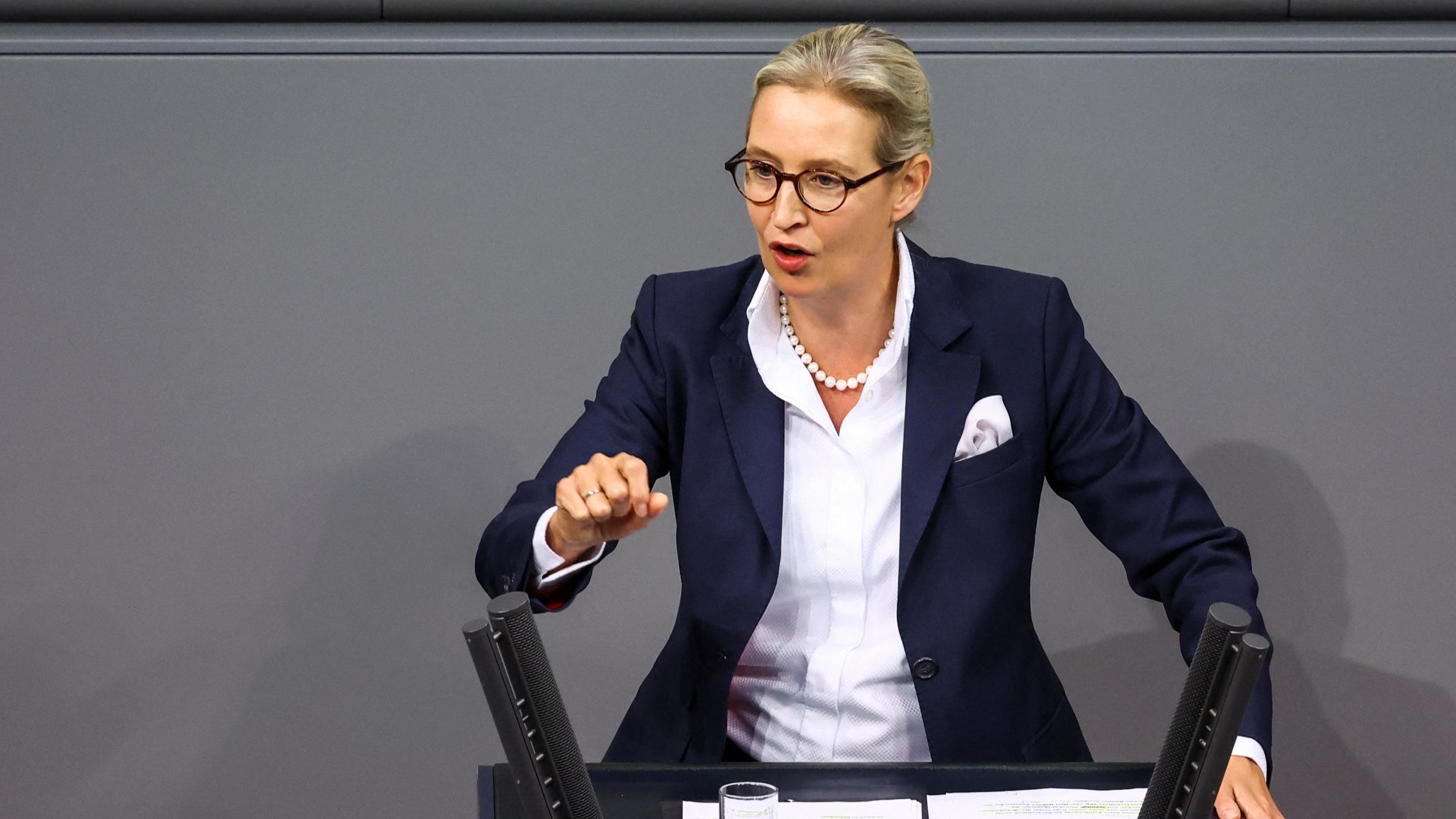 Allemagne : l'AfD travaille sur une nouvelle organisation de jeunesse