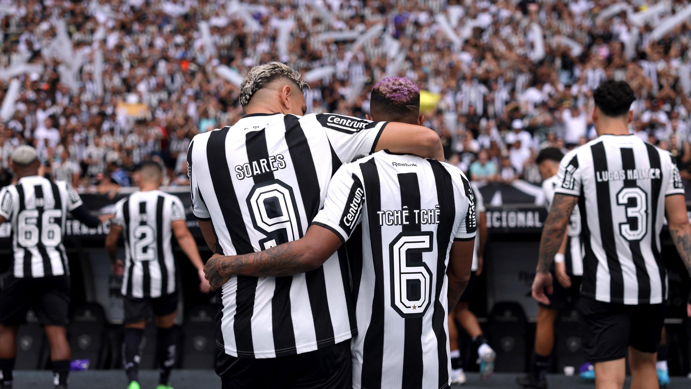 Foot : le Botafogo de Textor champion du Brésil après son titre en Copa Libertadores