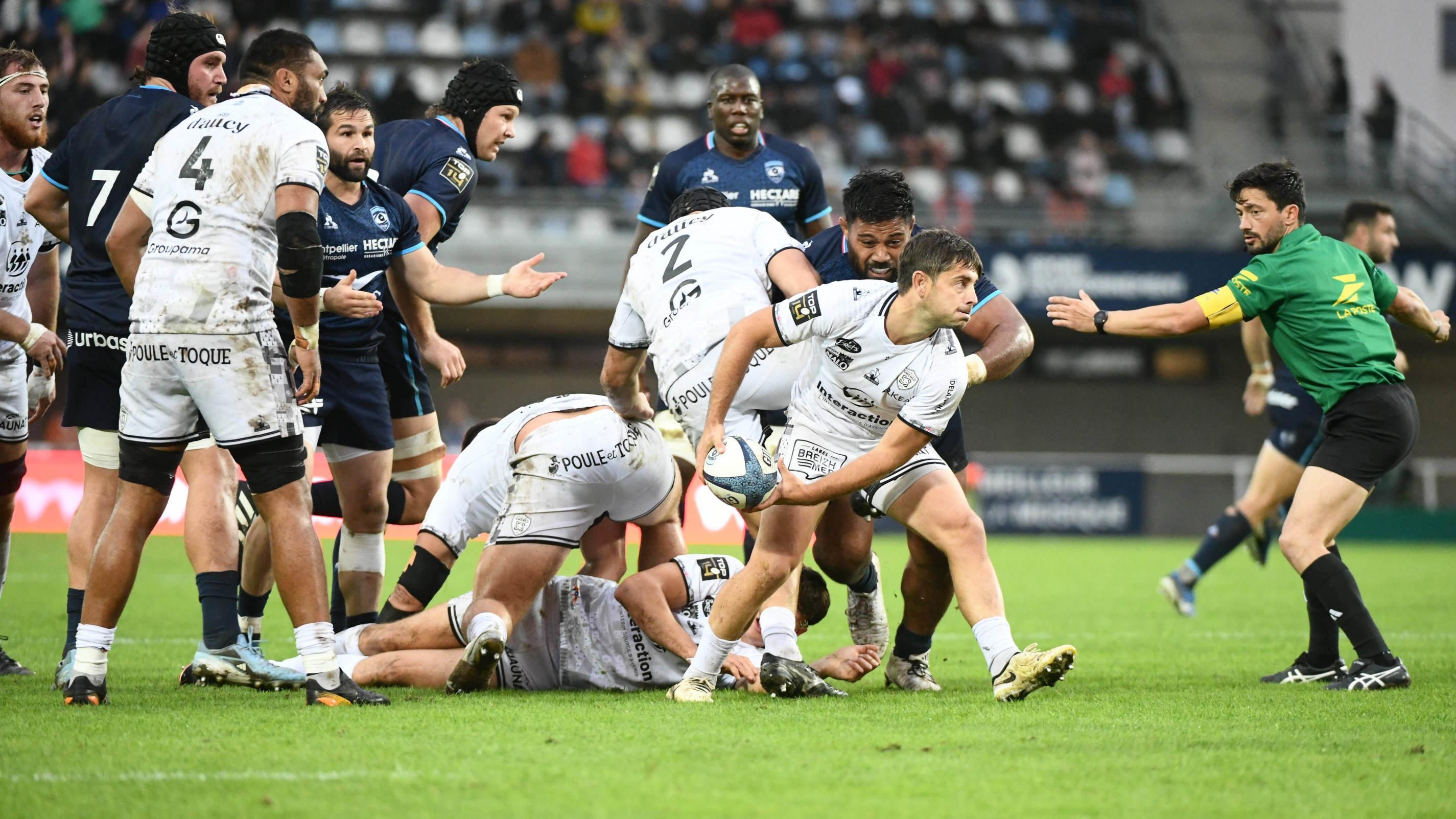 Top 14 : RC Vannes, l’irréductible promu breton n’a pas dit son dernier mot