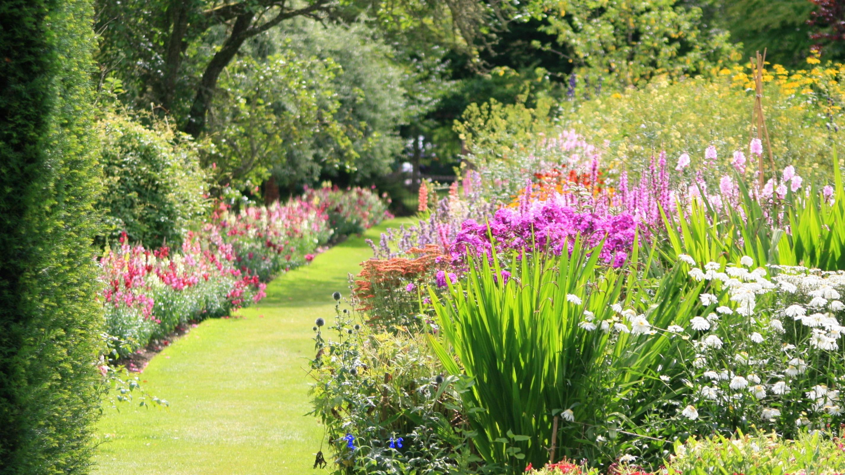 Il rend les plantes paresseuses : ce système d’arrosage est-il mauvais pour votre jardin ?