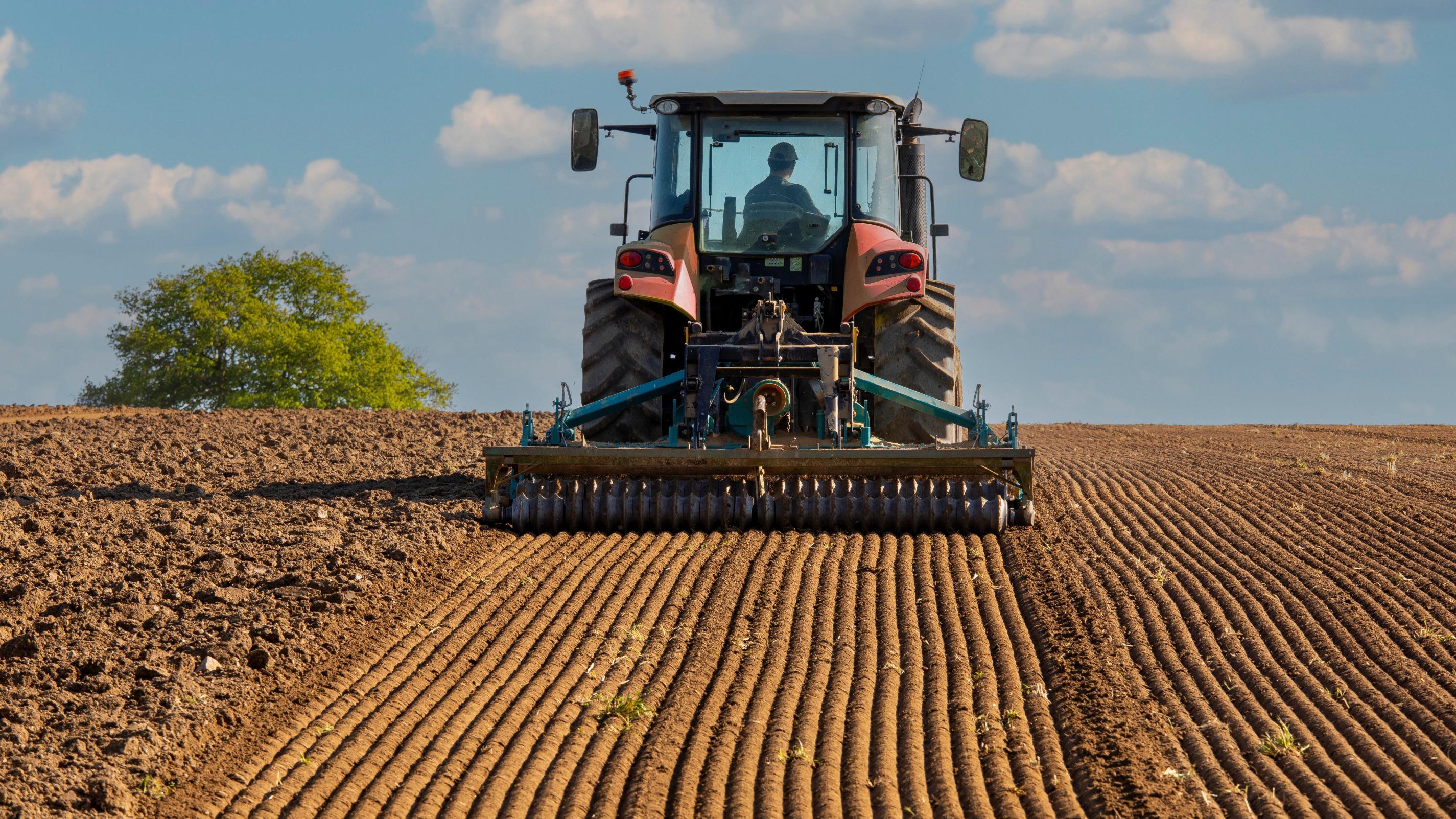 Agriculture : 2024 a été une année terrible pour la France, confirme l'Insee