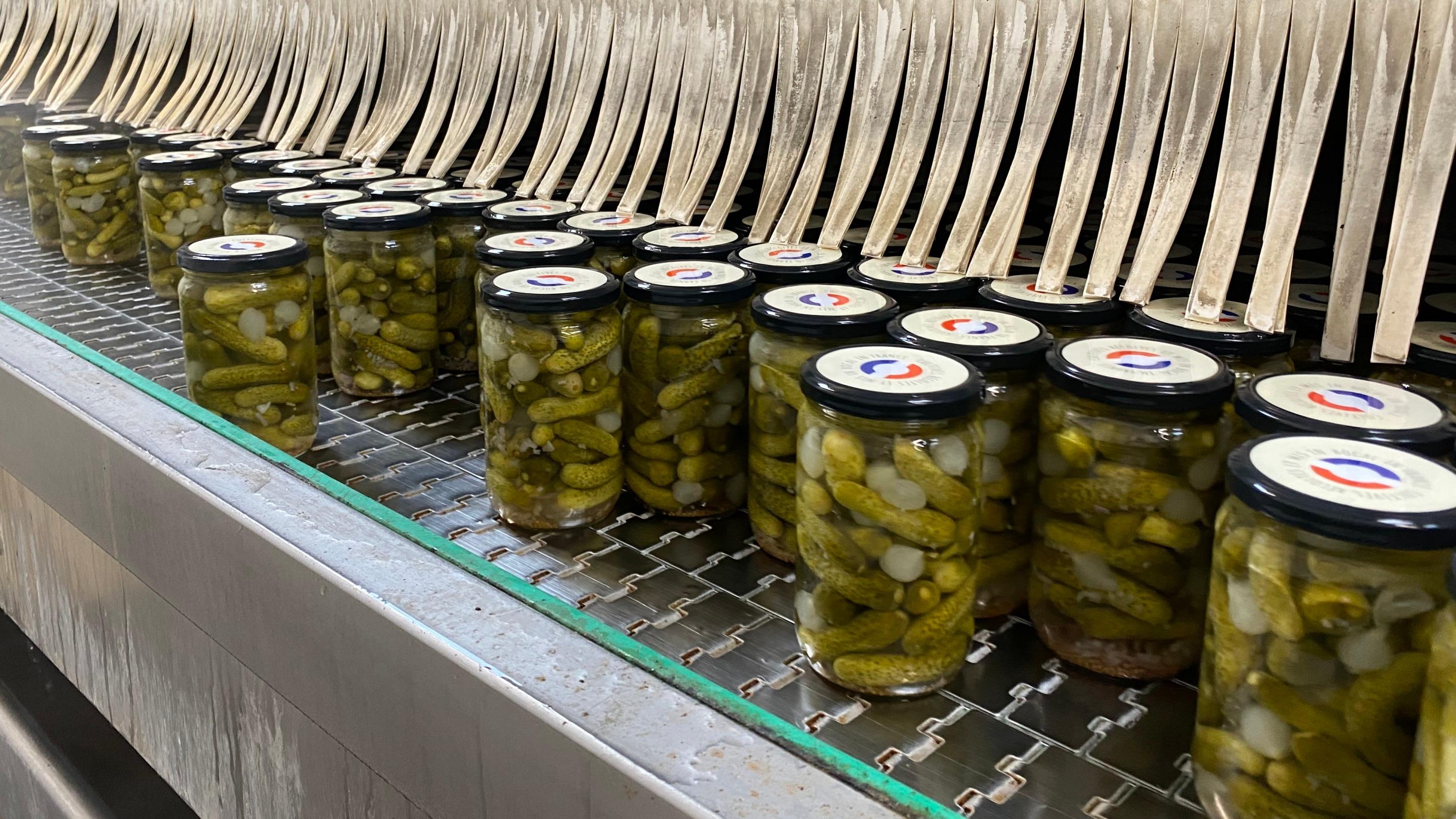 Dans les coulisses de la bataille pour relancer la filière française de cornichons