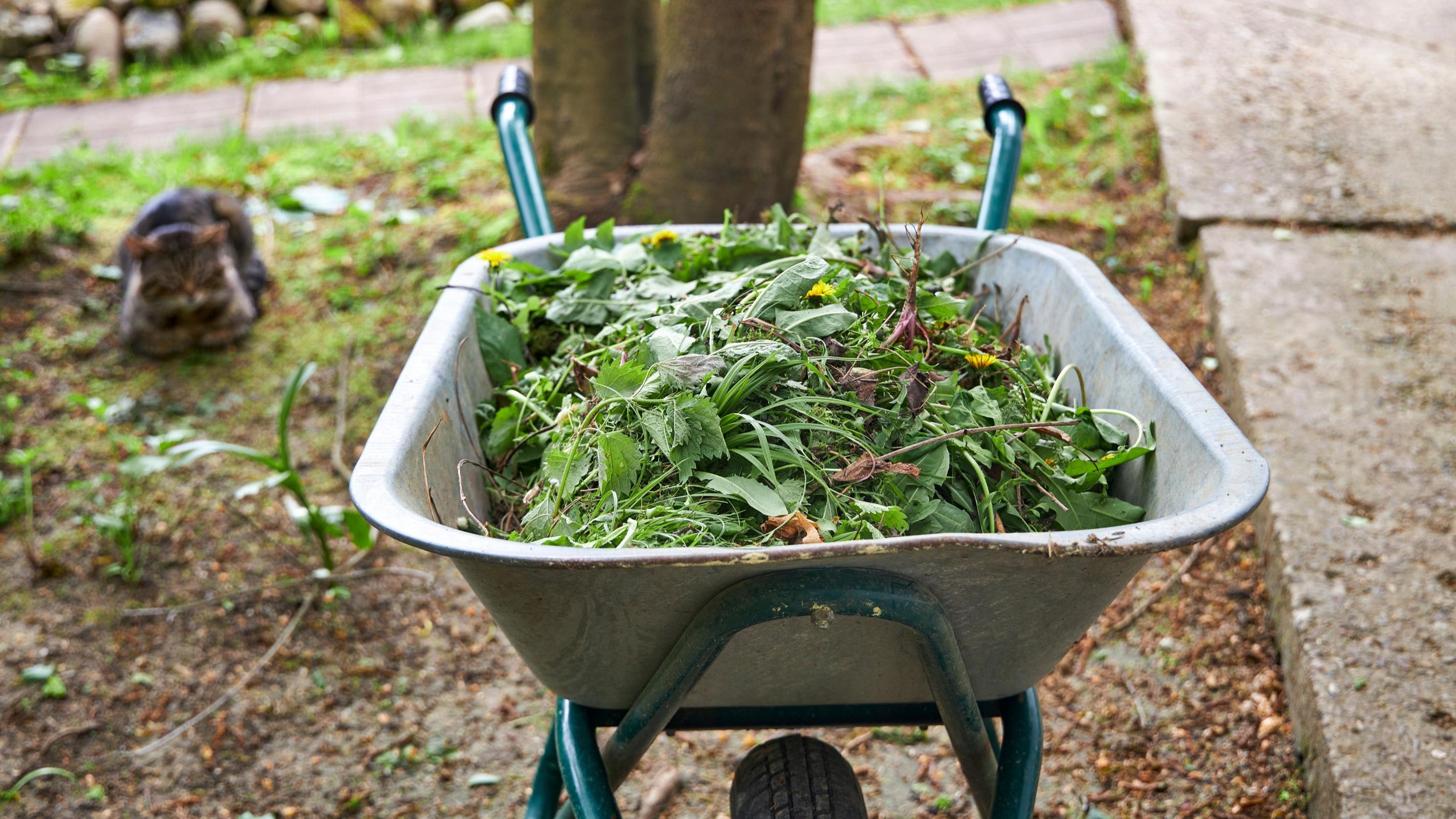 «C’est l’un des travaux les plus importants de l’automne» à faire dans votre jardin
