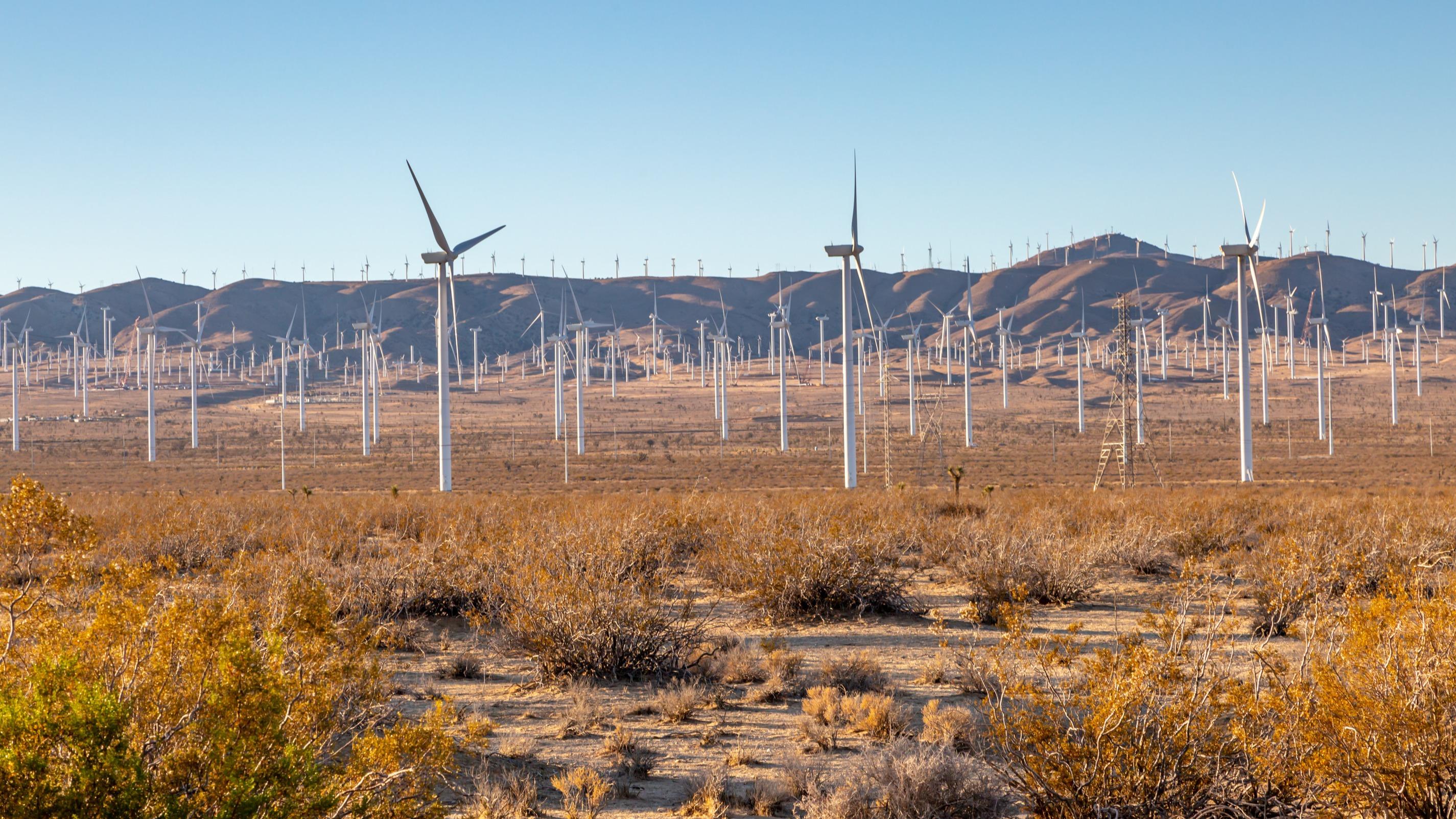Les éoliennes américaines résistent à l’opposition farouche de Trump