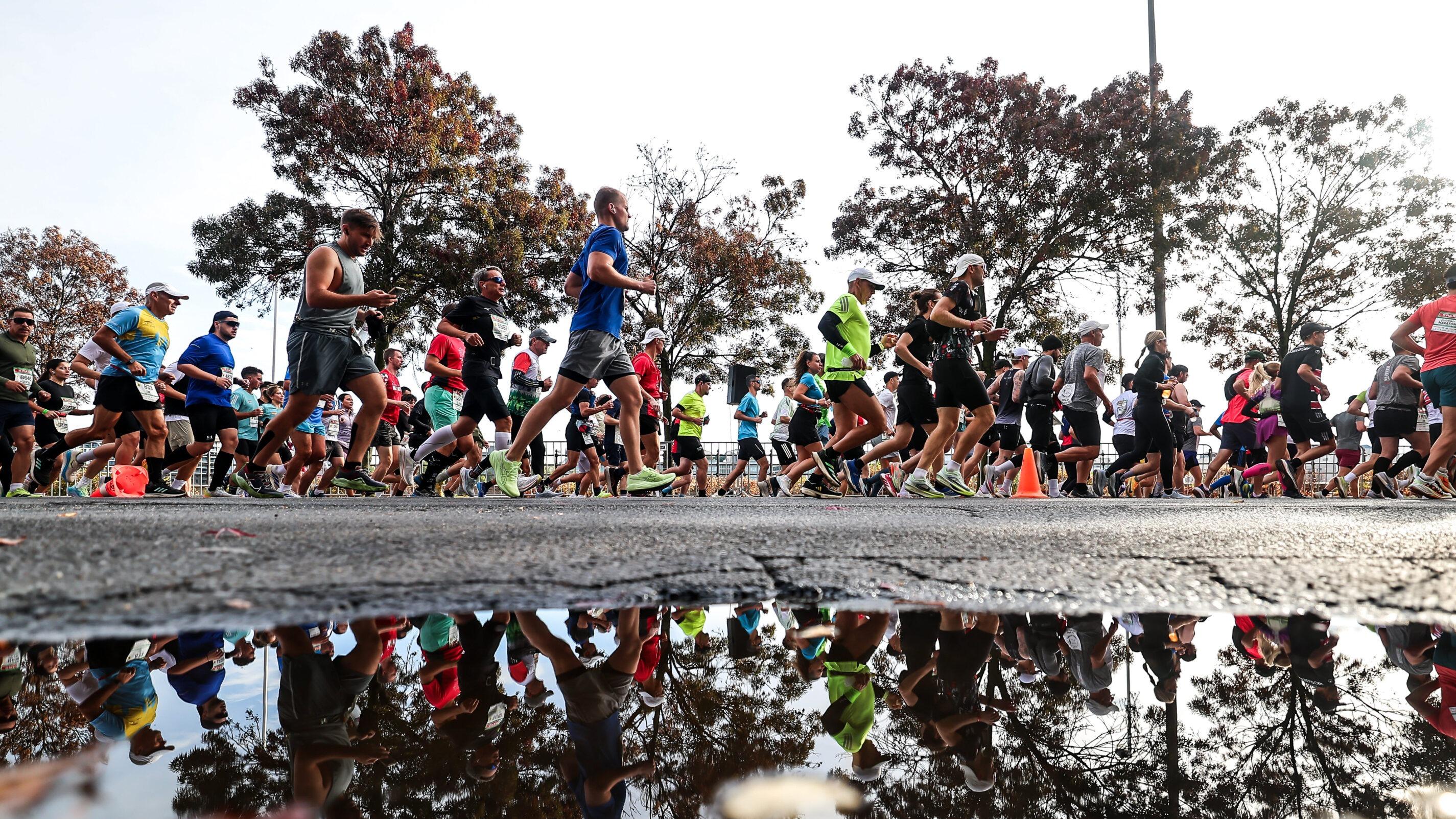 Un arbre tombe sur le parcours du marathon de Lille et provoque un blessé
