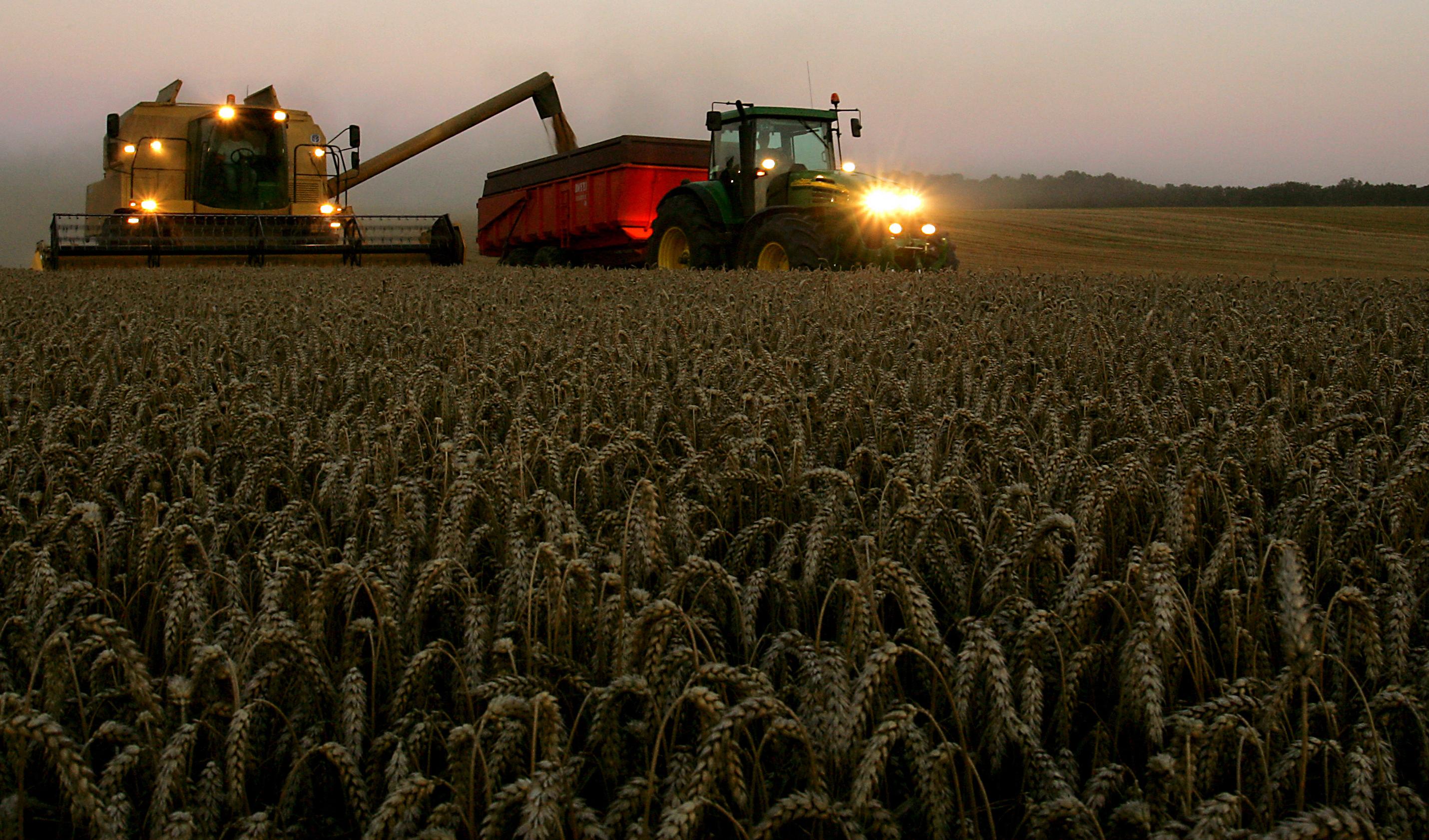 Pourquoi les céréaliers français s’enfoncent dans la crise 