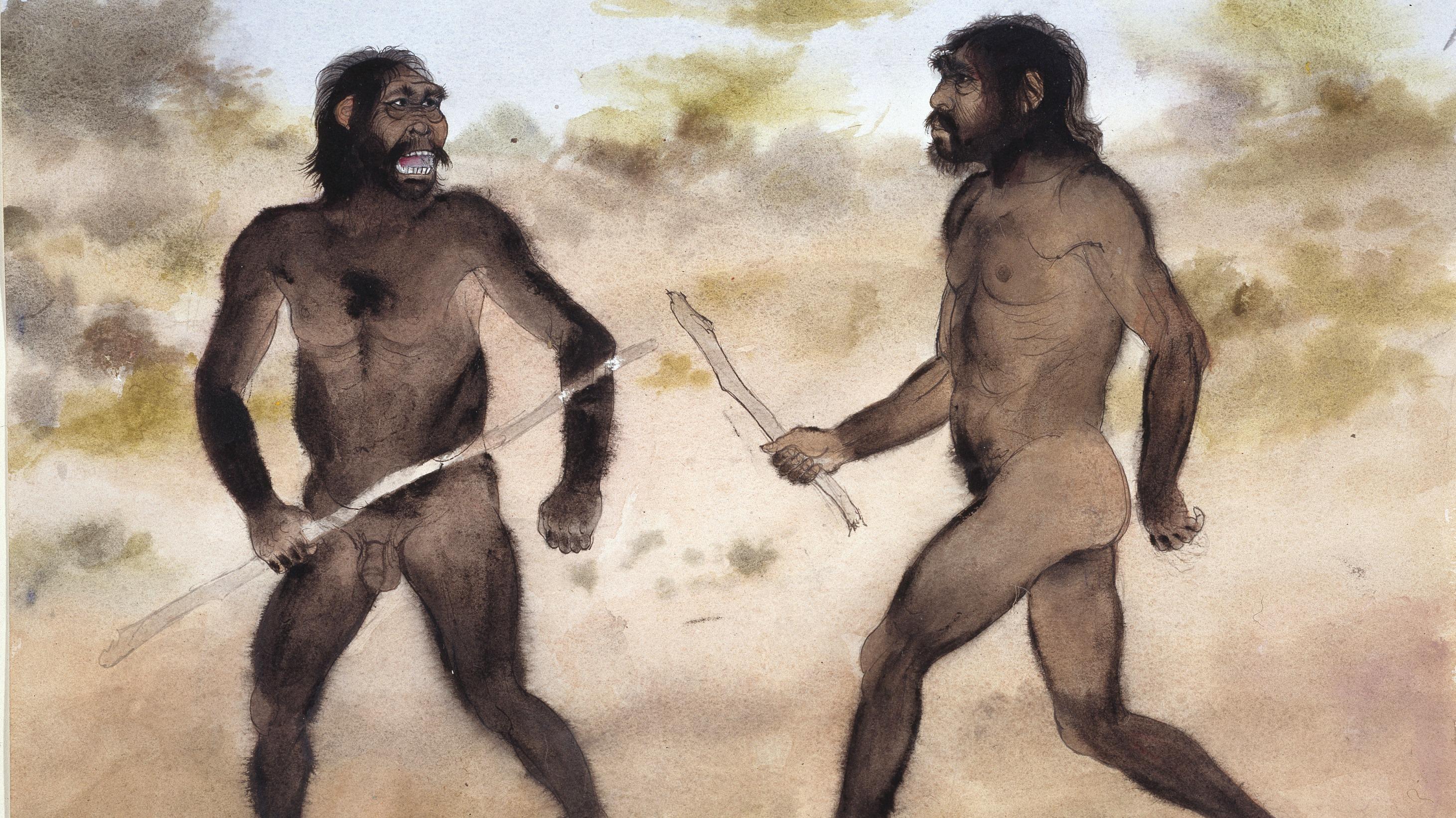 À l’instar d’Homo sapiens, comment Homo erectus a su dompter le désert