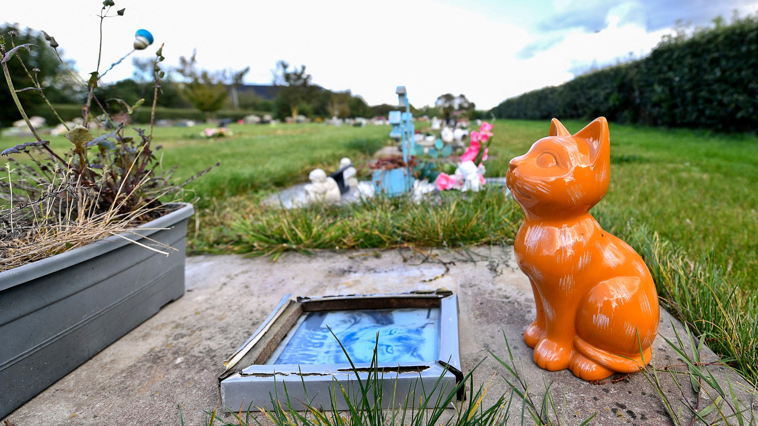 La Baule va ouvrir le premier cimetière animalier de Loire-Atlantique