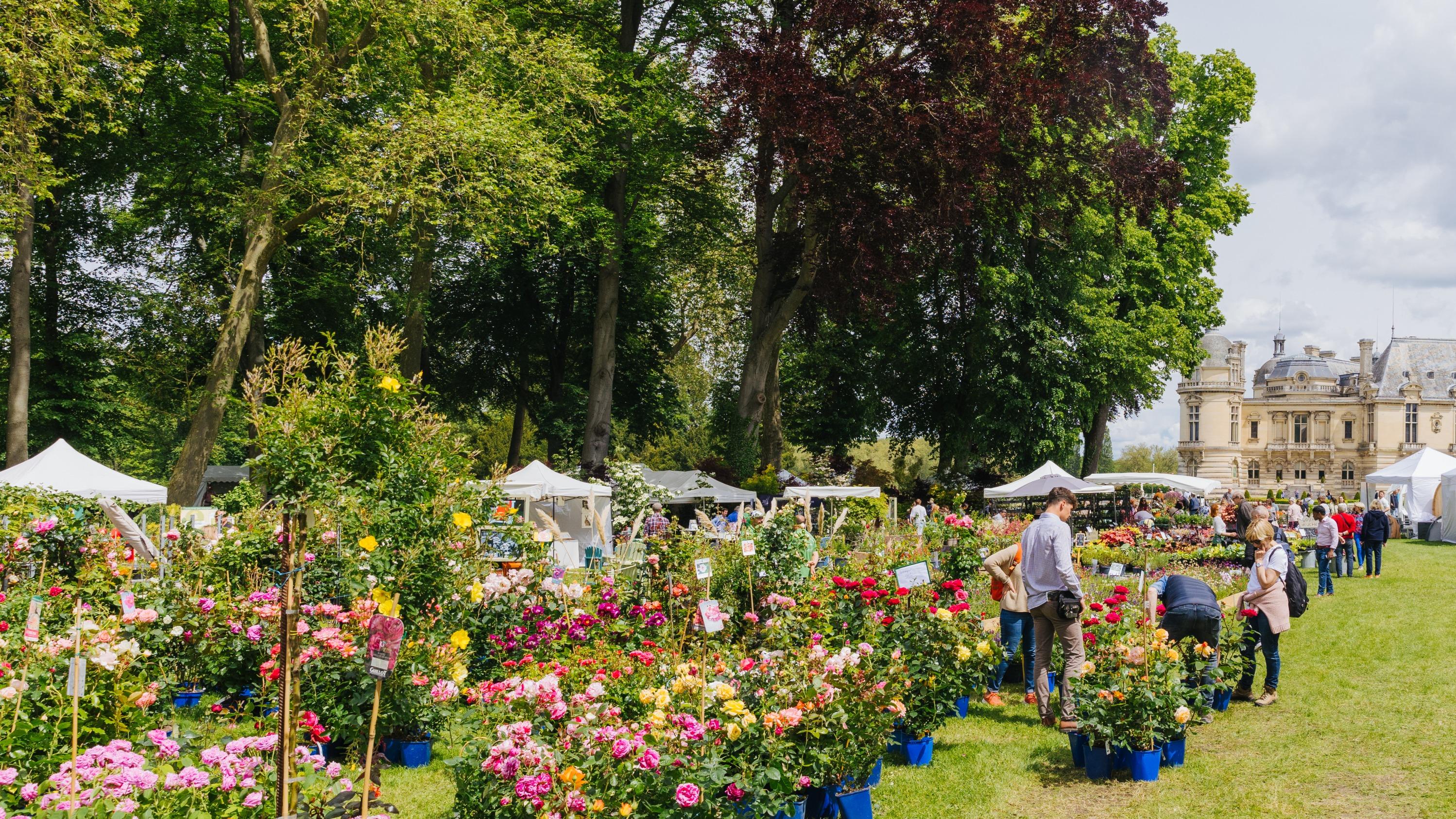 Les Journées des plantes fêtent leurs 10 ans au château de Chantilly : un week-end sous le signe des fleurs