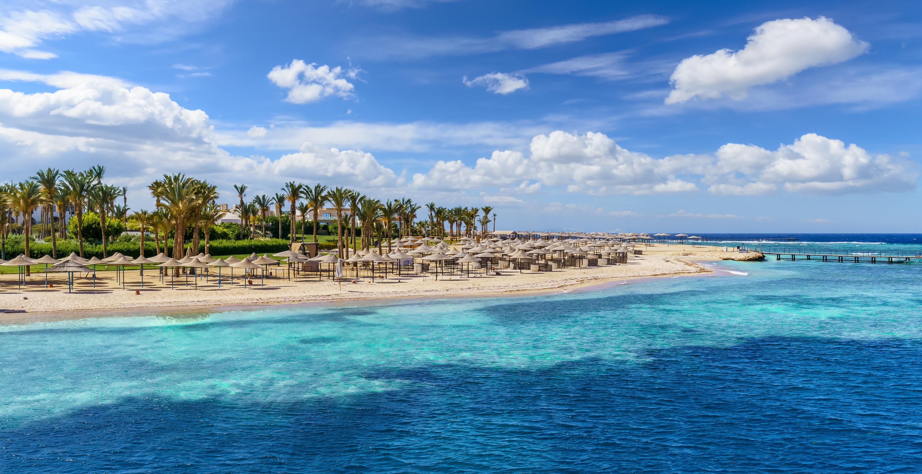 Égypte: un touriste tué par un requin en mer Rouge