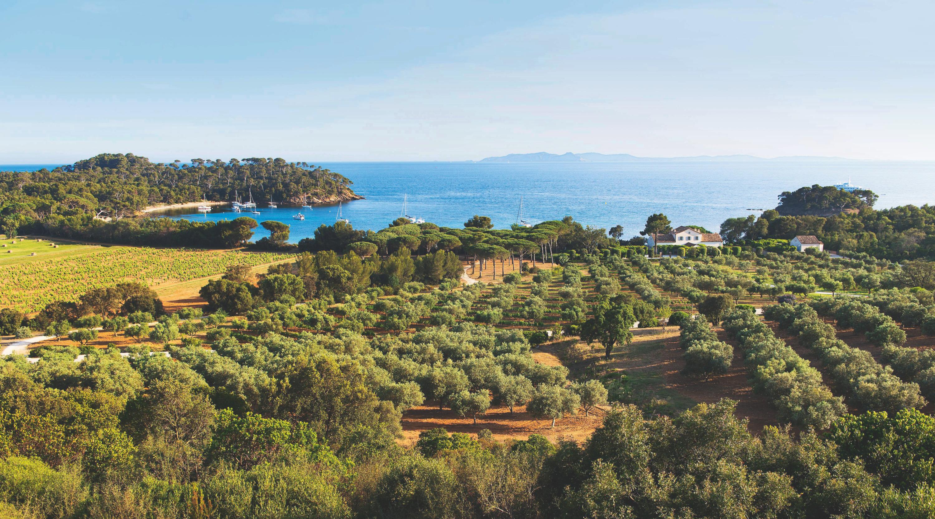 En Provence, le Château Léoube permet de prolonger l’été