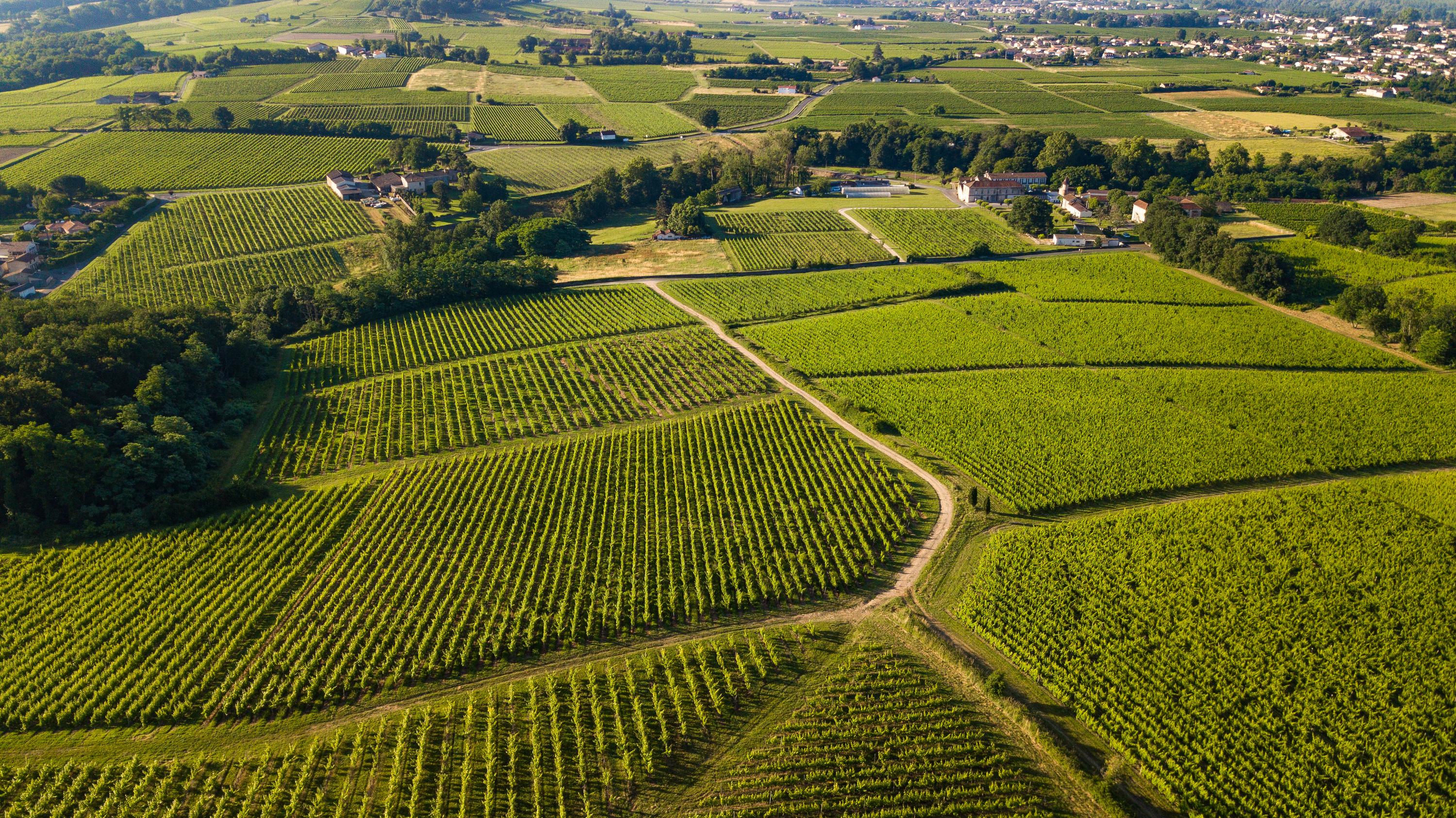 Ils ont tout des grands, sauf le prix : voici 10 bordeaux 2023 à l’ombre des appellations de prestige, entre 15 et 25 euros