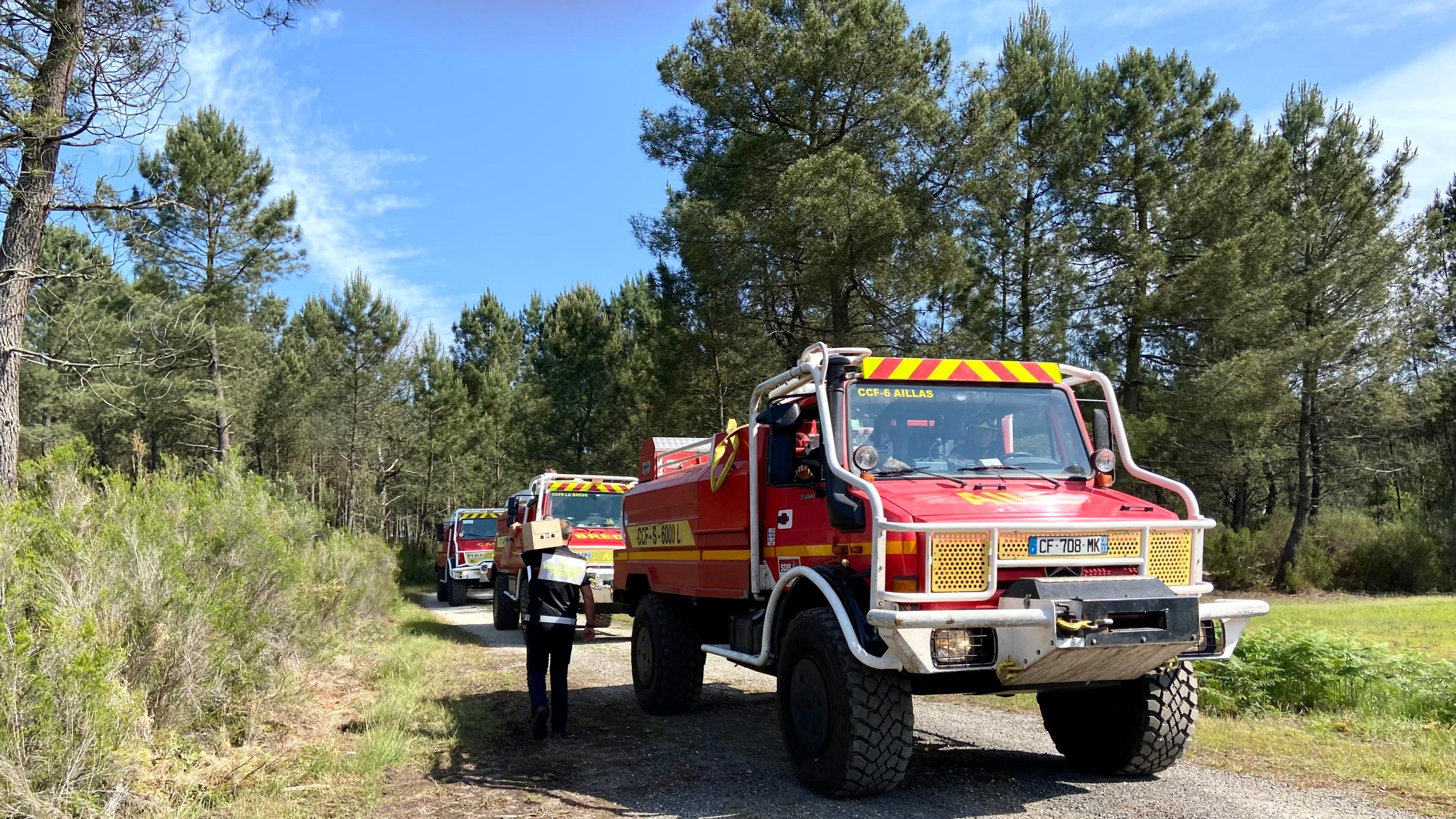 Gironde : un adolescent avoue avoir déclenché un feu dans la forêt déjà sinistrée de Landiras