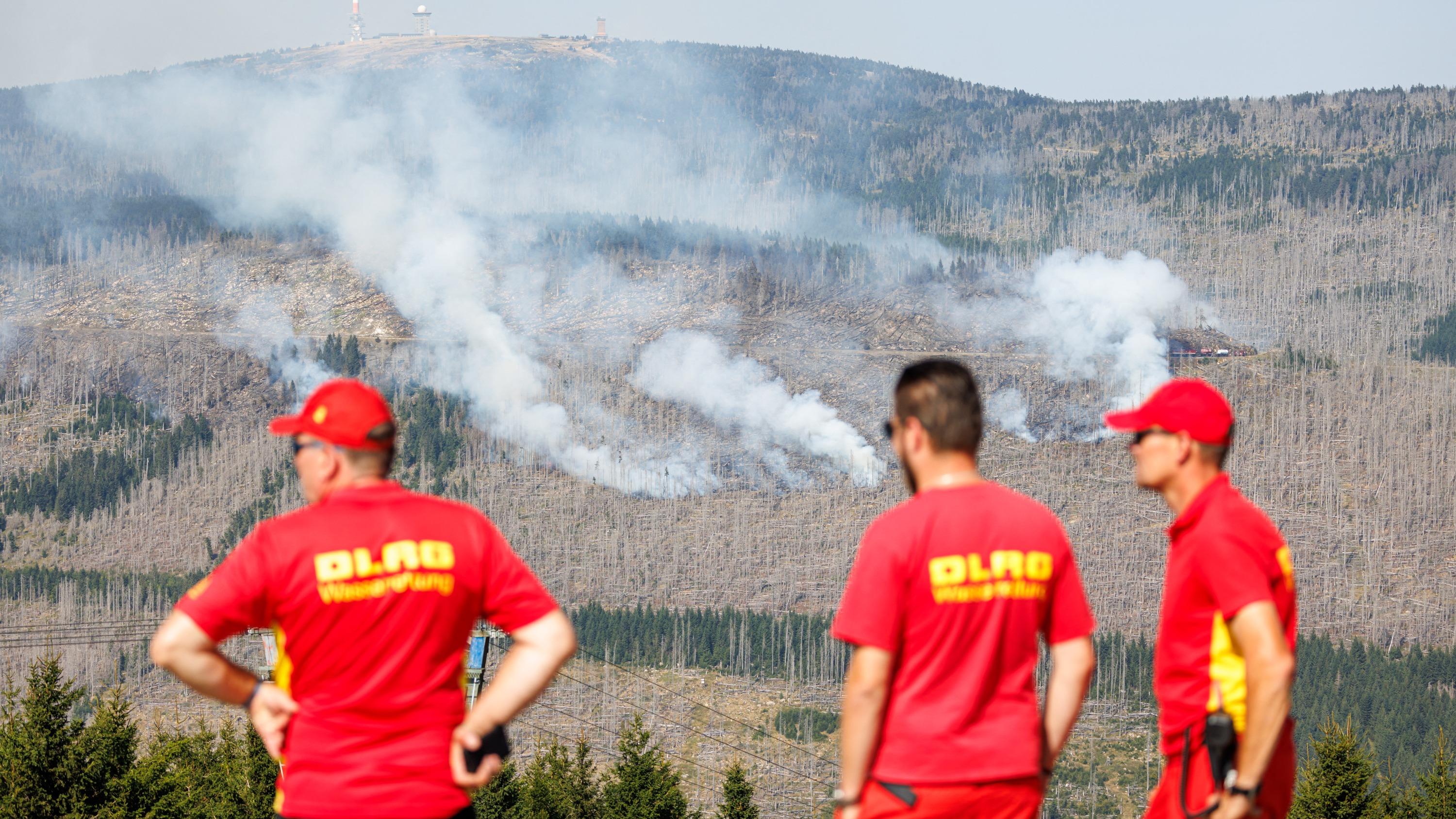 Allemagne : les pompiers face à un important feu de forêt