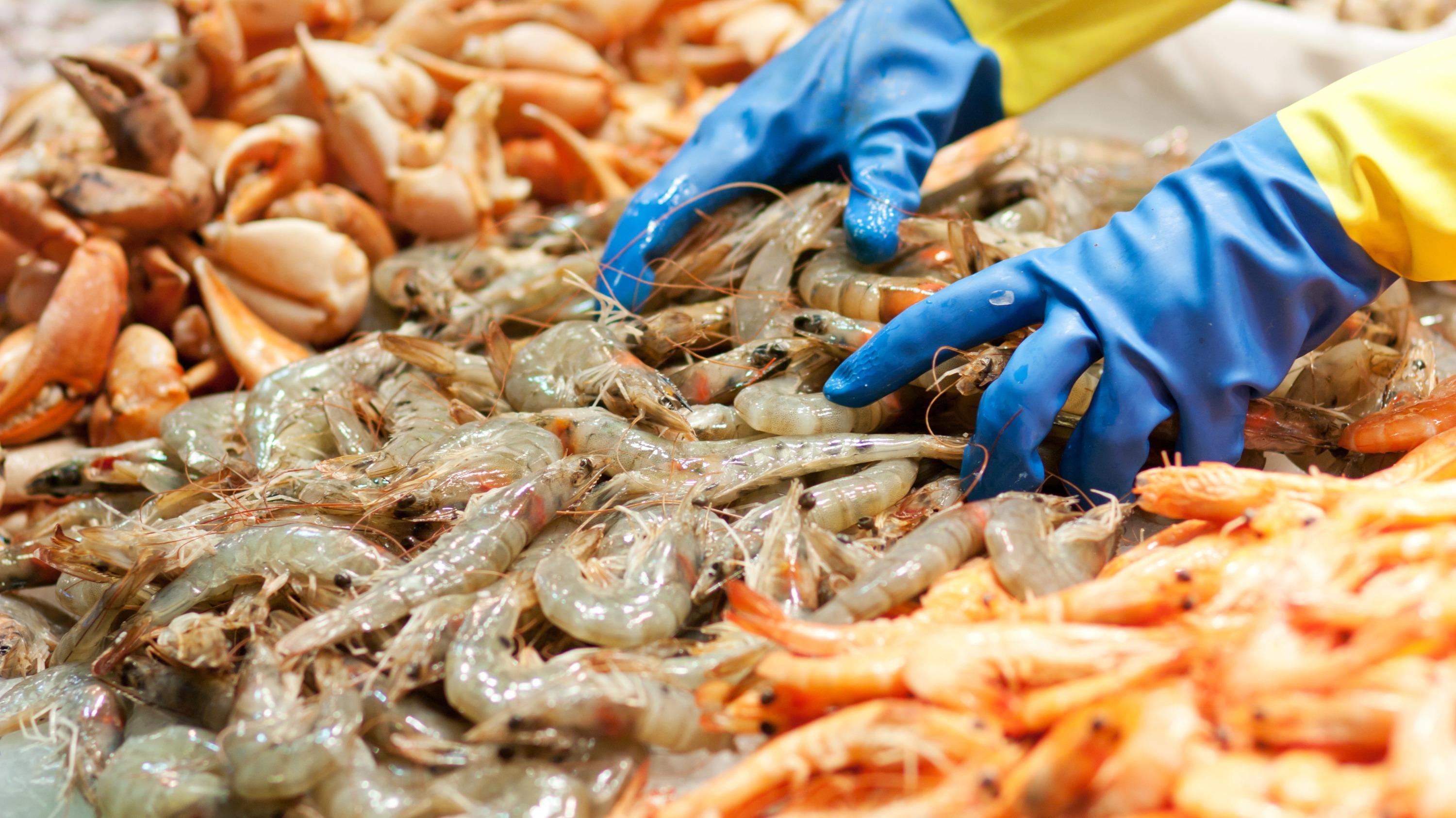 Rappel de crevettes et gambas vendues chez Intermarché et Auchan et contenant une bactérie «mangeuse de chair»